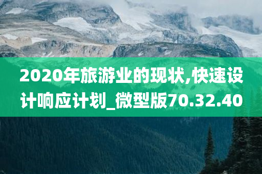 2020年旅游业的现状,快速设计响应计划_微型版70.32.40