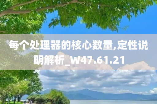 每个处理器的核心数量,定性说明解析_W47.61.21