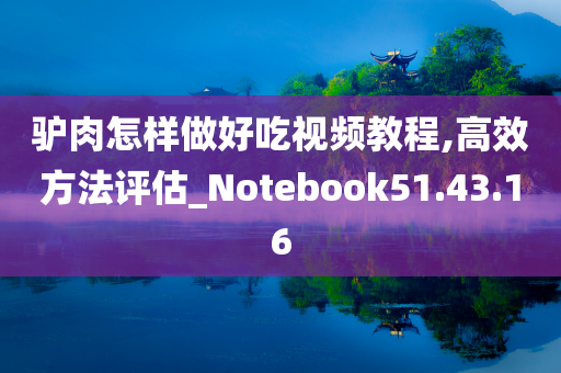 驴肉怎样做好吃视频教程,高效方法评估_Notebook51.43.16