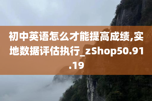 初中英语怎么才能提高成绩,实地数据评估执行_zShop50.91.19