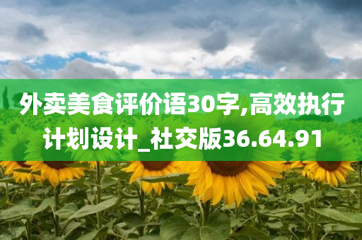 外卖美食评价语30字,高效执行计划设计_社交版36.64.91