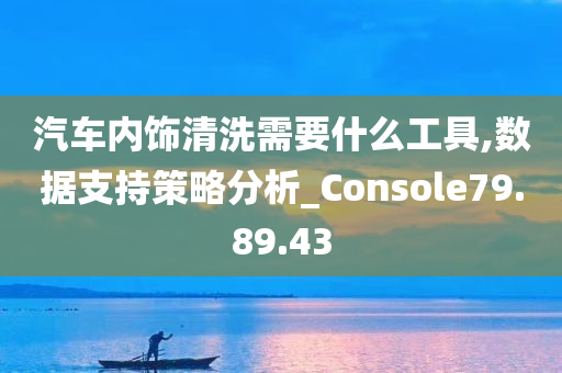 汽车内饰清洗需要什么工具,数据支持策略分析_Console79.89.43