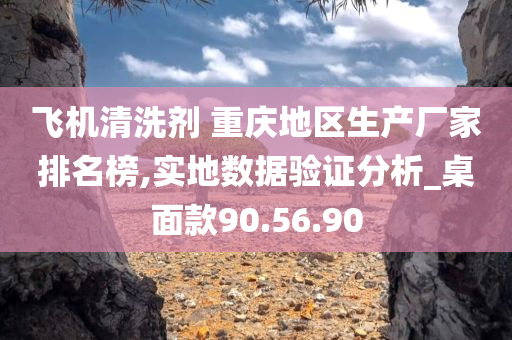 飞机清洗剂 重庆地区生产厂家排名榜,实地数据验证分析_桌面款90.56.90