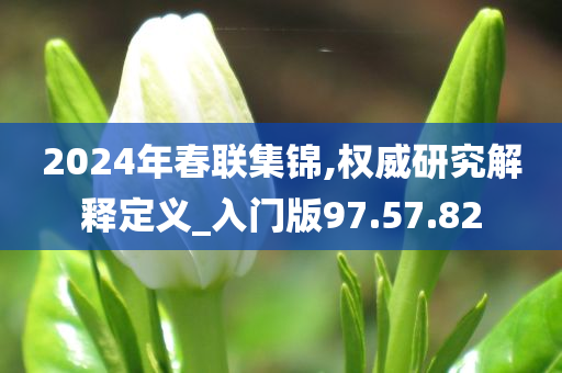 2024年春联集锦,权威研究解释定义_入门版97.57.82