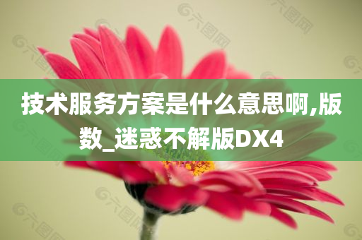 技术服务方案是什么意思啊,版数_迷惑不解版DX4