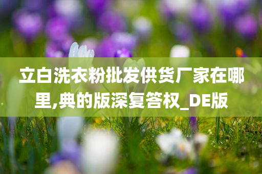 立白洗衣粉批发供货厂家在哪里,典的版深复答权_DE版