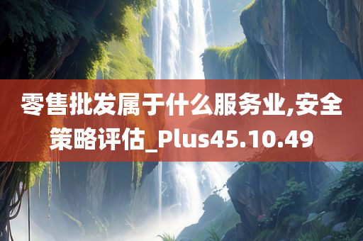 零售批发属于什么服务业,安全策略评估_Plus45.10.49