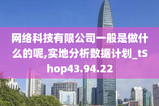 网络科技有限公司一般是做什么的呢,实地分析数据计划_tShop43.94.22