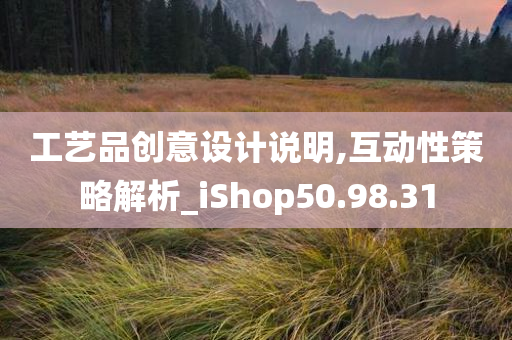 工艺品创意设计说明,互动性策略解析_iShop50.98.31