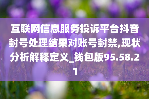 互联网信息服务投诉平台抖音封号处理结果对账号封禁,现状分析解释定义_钱包版95.58.21