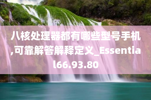 八核处理器都有哪些型号手机,可靠解答解释定义_Essential66.93.80