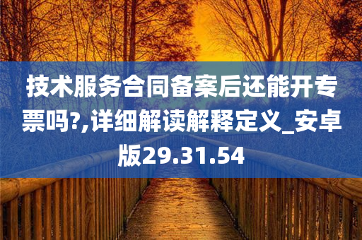 技术服务合同备案后还能开专票吗?,详细解读解释定义_安卓版29.31.54