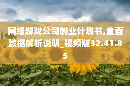 网络游戏公司创业计划书,全面数据解析说明_视频版32.41.85