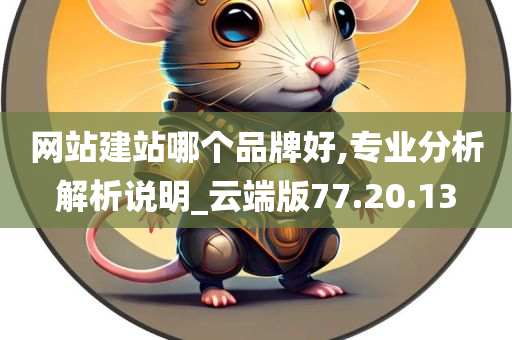 网站建站哪个品牌好,专业分析解析说明_云端版77.20.13