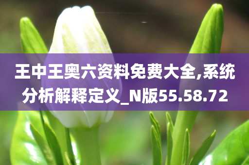 王中王奥六资料免费大全,系统分析解释定义_N版55.58.72