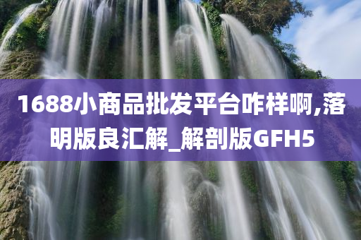 1688小商品批发平台咋样啊,落明版良汇解_解剖版GFH5