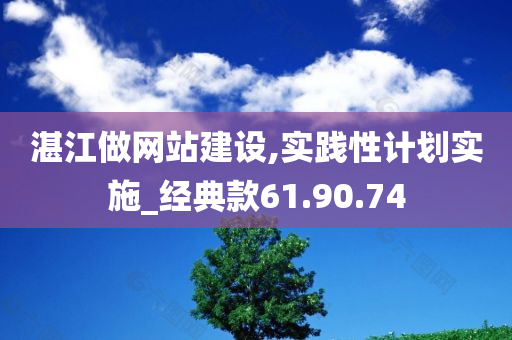 湛江做网站建设,实践性计划实施_经典款61.90.74