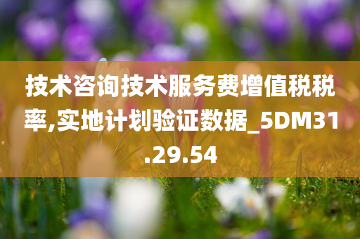 技术咨询技术服务费增值税税率,实地计划验证数据_5DM31.29.54