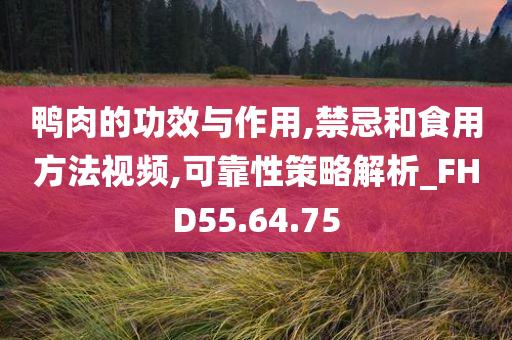 鸭肉的功效与作用,禁忌和食用方法视频,可靠性策略解析_FHD55.64.75