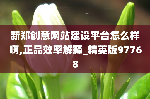 新郑创意网站建设平台怎么样啊,正品效率解释_精英版97768