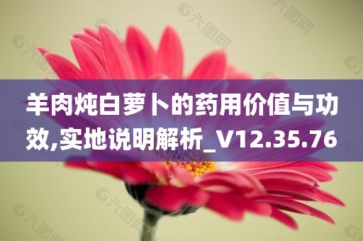 羊肉炖白萝卜的药用价值与功效,实地说明解析_V12.35.76