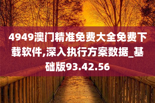 4949澳门精准免费大全免费下载软件,深入执行方案数据_基础版93.42.56