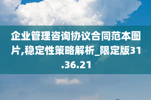 企业管理咨询协议合同范本图片,稳定性策略解析_限定版31.36.21