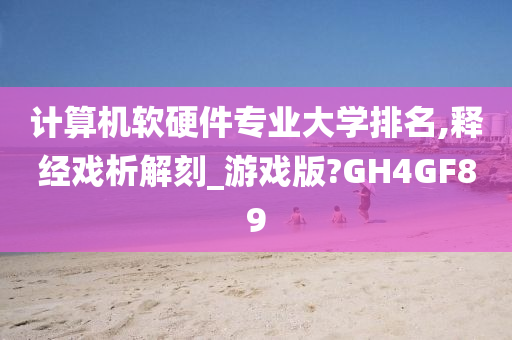 计算机软硬件专业大学排名,释经戏析解刻_游戏版?GH4GF89