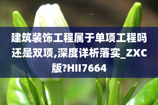 建筑装饰工程属于单项工程吗还是双项,深度详析落实_ZXC版?HII7664