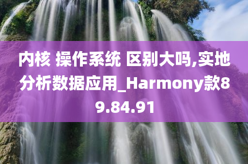 内核 操作系统 区别大吗,实地分析数据应用_Harmony款89.84.91