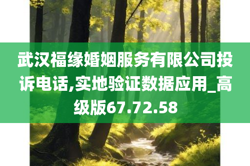 武汉福缘婚姻服务有限公司投诉电话,实地验证数据应用_高级版67.72.58