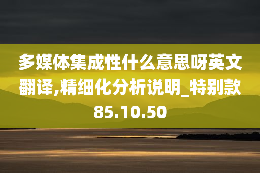 多媒体集成性什么意思呀英文翻译,精细化分析说明_特别款85.10.50