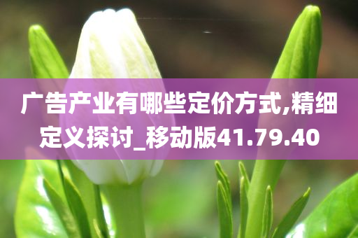 广告产业有哪些定价方式,精细定义探讨_移动版41.79.40