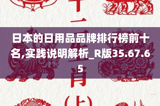 日本的日用品品牌排行榜前十名,实践说明解析_R版35.67.65