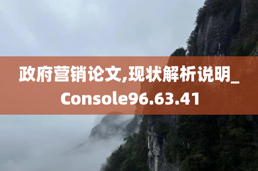 政府营销论文,现状解析说明_Console96.63.41