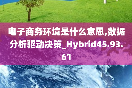 电子商务环境是什么意思,数据分析驱动决策_Hybrid45.93.61