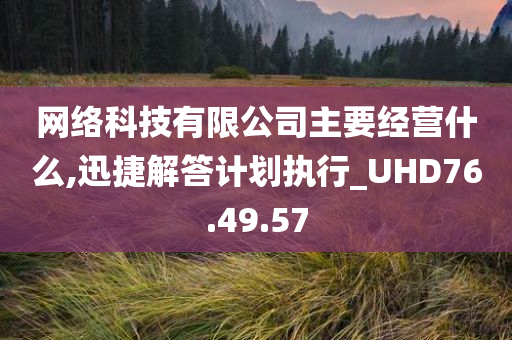 网络科技有限公司主要经营什么,迅捷解答计划执行_UHD76.49.57