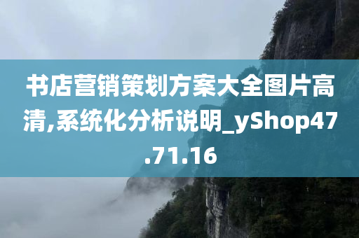 书店营销策划方案大全图片高清,系统化分析说明_yShop47.71.16