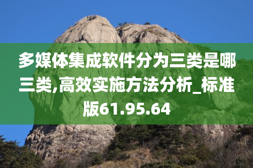 多媒体集成软件分为三类是哪三类,高效实施方法分析_标准版61.95.64