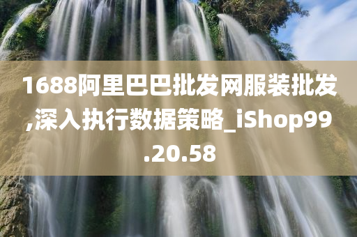 1688阿里巴巴批发网服装批发,深入执行数据策略_iShop99.20.58