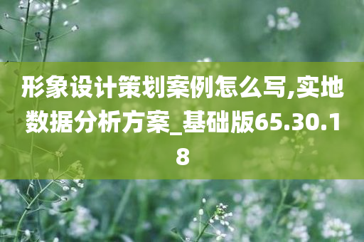 形象设计策划案例怎么写,实地数据分析方案_基础版65.30.18