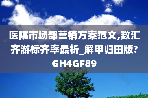 医院市场部营销方案范文,数汇齐游标齐率最析_解甲归田版?GH4GF89