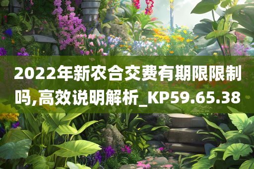 2022年新农合交费有期限限制吗,高效说明解析_KP59.65.38