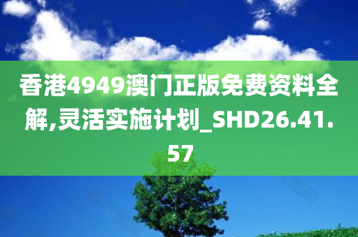 香港4949澳门正版免费资料全解,灵活实施计划_SHD26.41.57