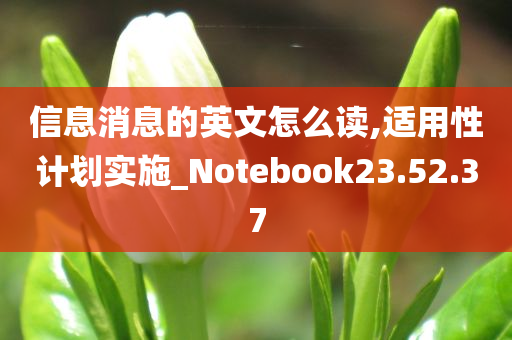 信息消息的英文怎么读,适用性计划实施_Notebook23.52.37