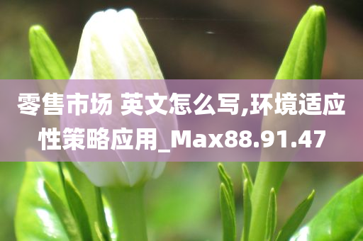 零售市场 英文怎么写,环境适应性策略应用_Max88.91.47