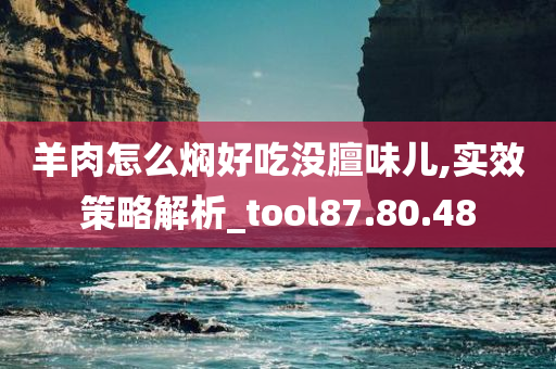 羊肉怎么焖好吃没膻味儿,实效策略解析_tool87.80.48