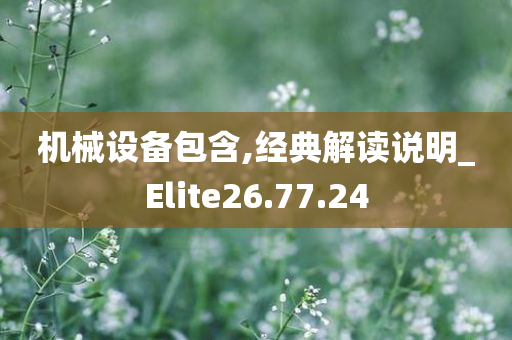 机械设备包含,经典解读说明_Elite26.77.24