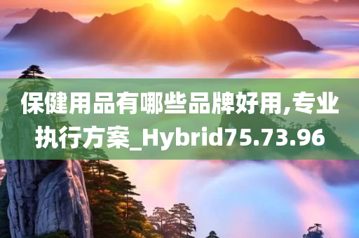 保健用品有哪些品牌好用,专业执行方案_Hybrid75.73.96