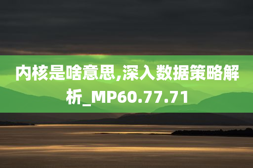 内核是啥意思,深入数据策略解析_MP60.77.71